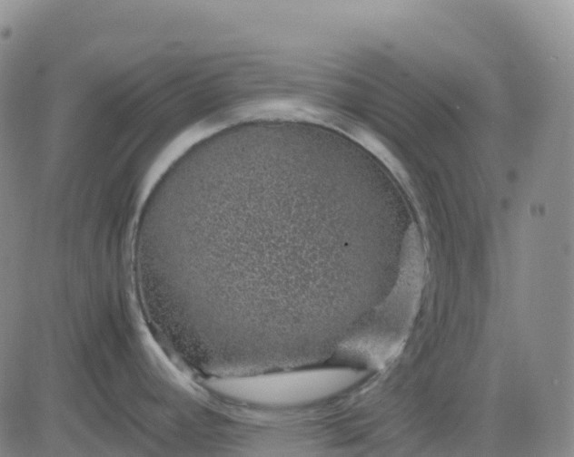 X0000083581392200702231644