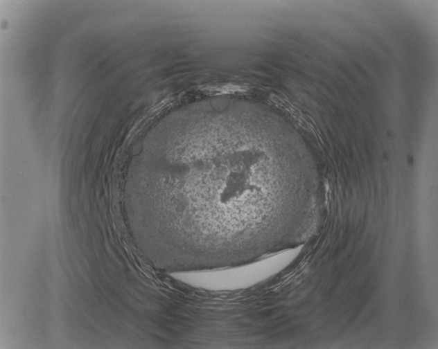 X0000083581393200702231643