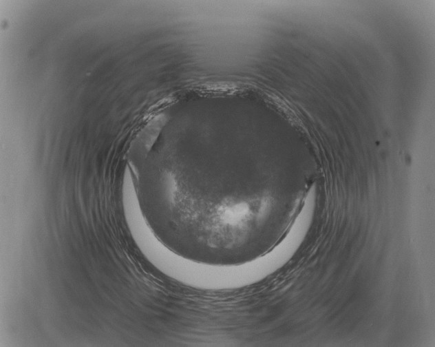 X0000083581394200702231643