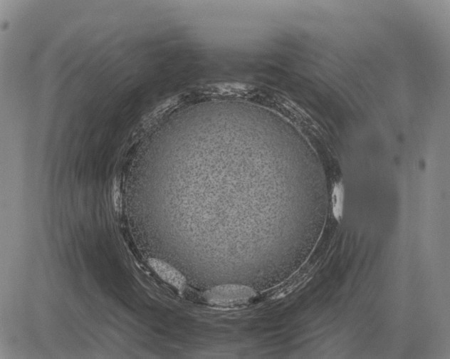 X0000083581395200702231643