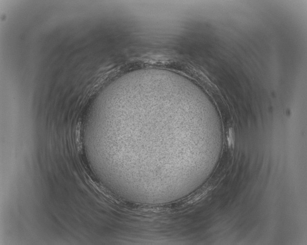 X0000083581396200702231643