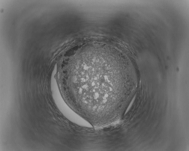 X0000083581397200702231643