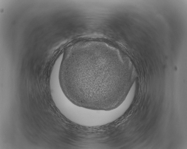 X0000083581398200702231643