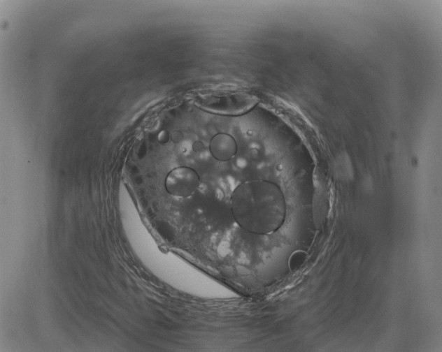 X0000083581399200702231643