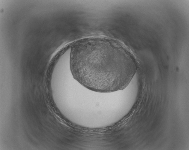 X0000083581400200702231643