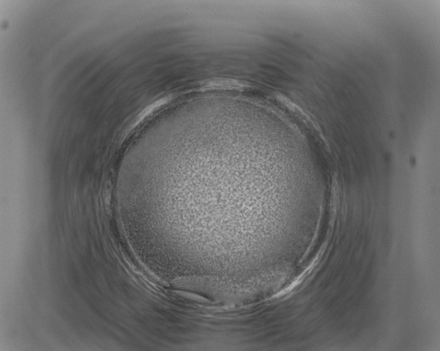 X0000083581401200702231643