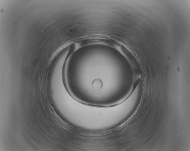 X0000083581402200702231643