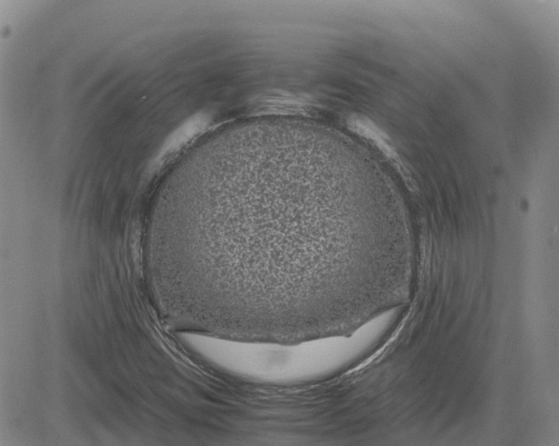 X0000083581403200702231643