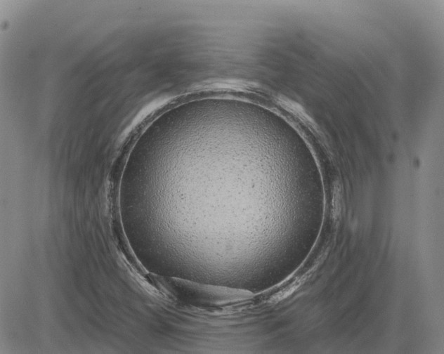 X0000083581404200702231643