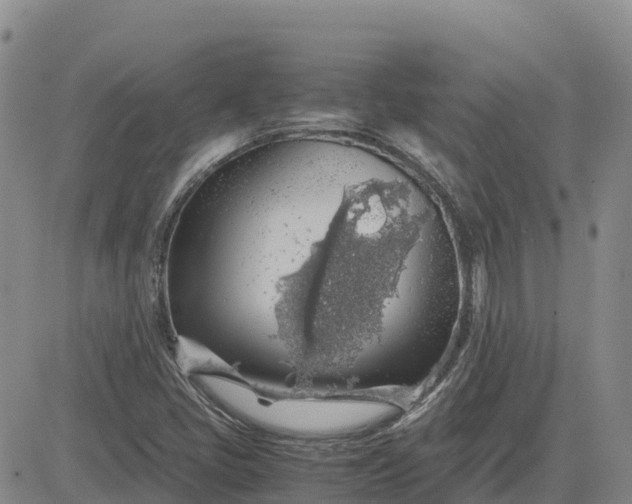 X0000083581405200702231643