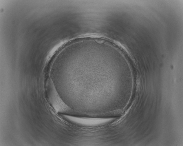 X0000083581406200702231643