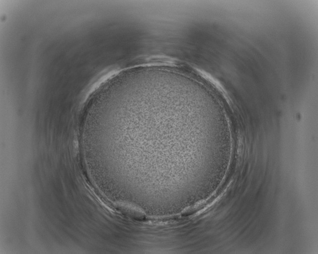 X0000083581407200702231643