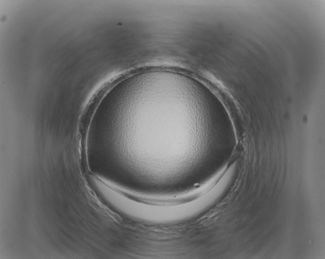 X0000083581408200702231643