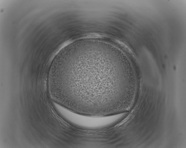 X0000083581409200702231643