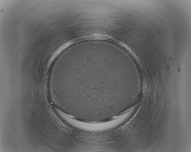 X0000083581410200702231643