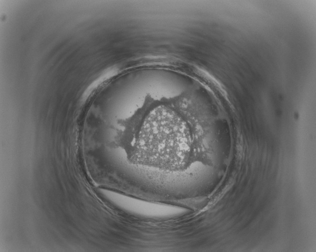 X0000083581411200702231643