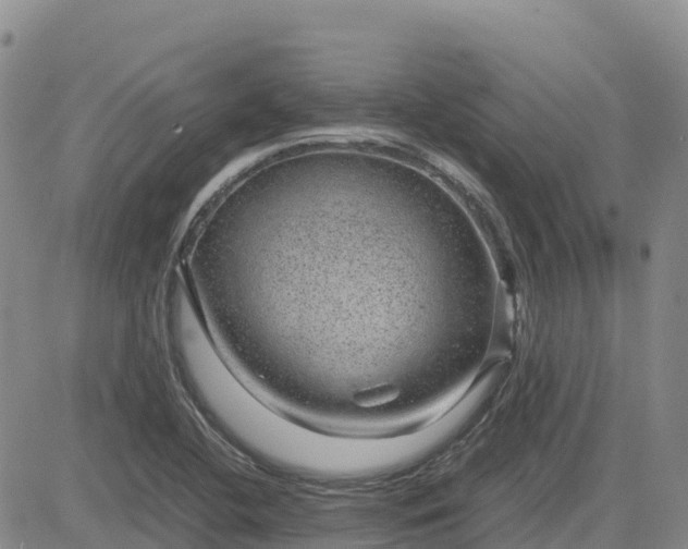 X0000083581412200702231643