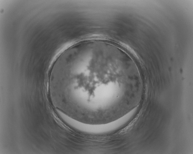 X0000083581413200702231643