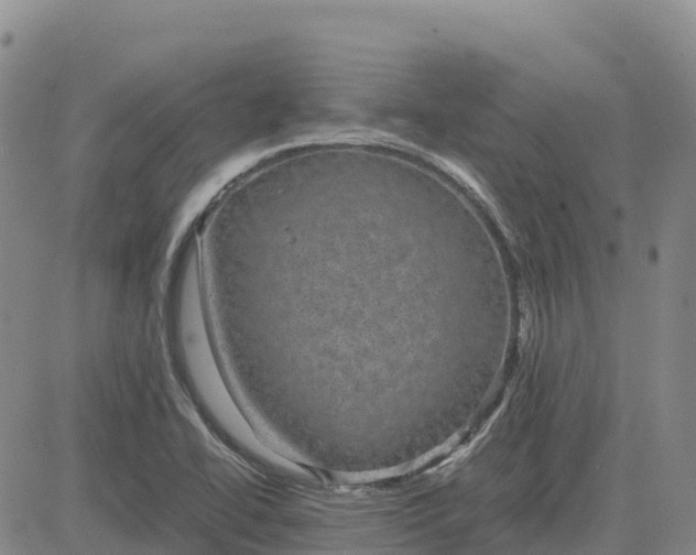 X0000083581414200702231643