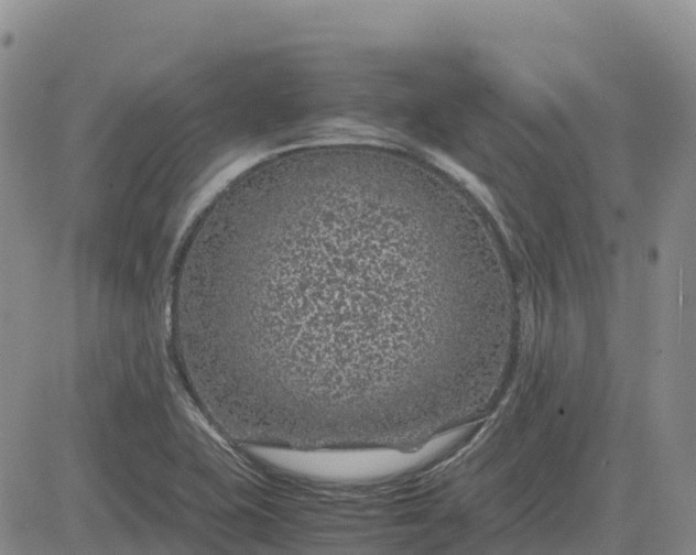 X0000083581415200702231643