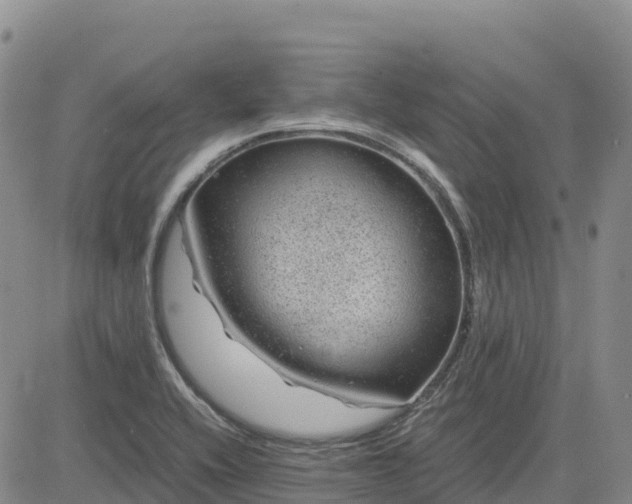 X0000083581416200702231643