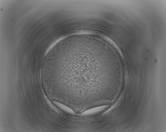 X0000083581417200702231643