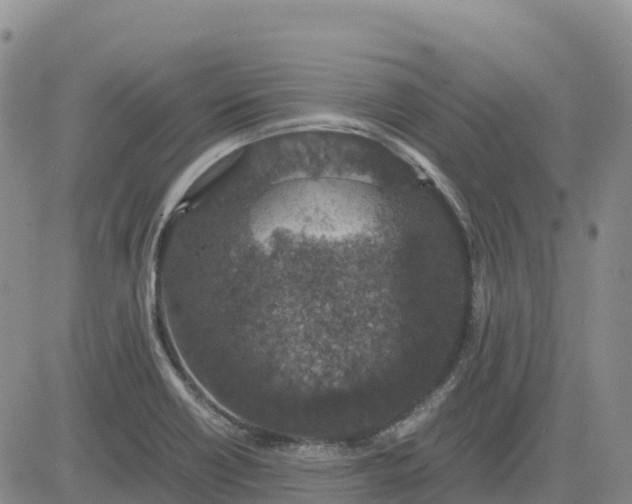 X0000083581418200702231643