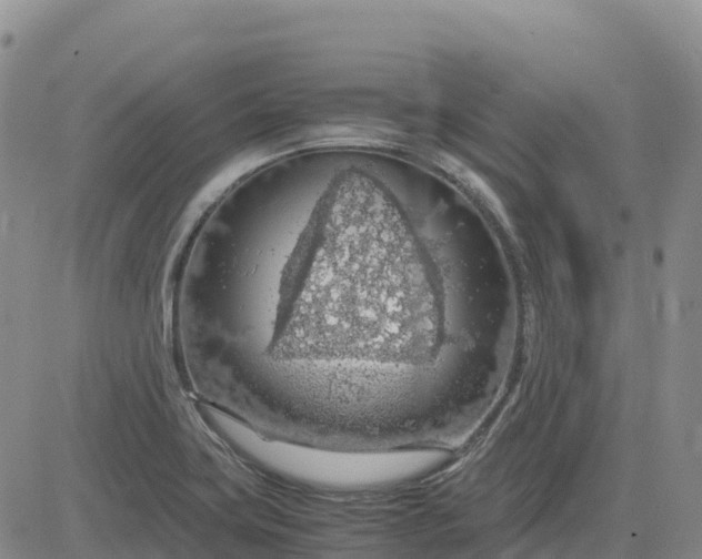 X0000083581419200702231643