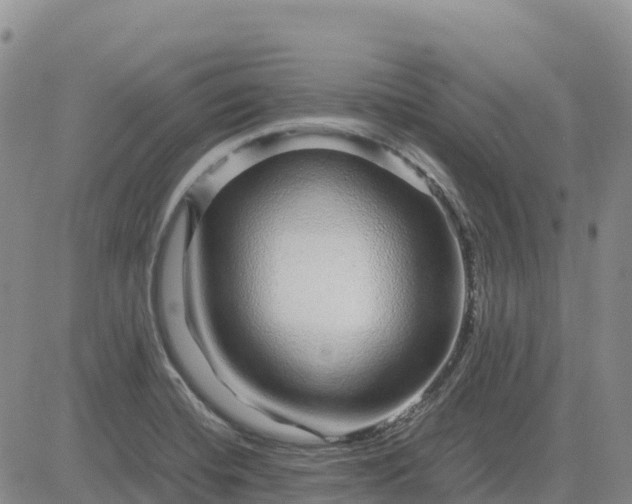 X0000083581420200702231644