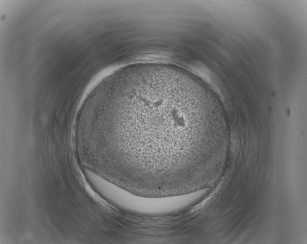 X0000083581421200702231644