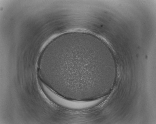 X0000083581422200702231644