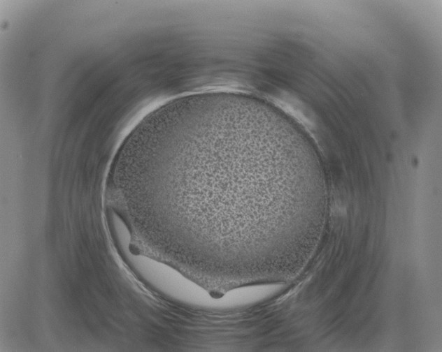 X0000083581423200702231644