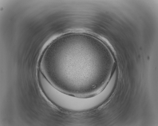 X0000083581424200702231644