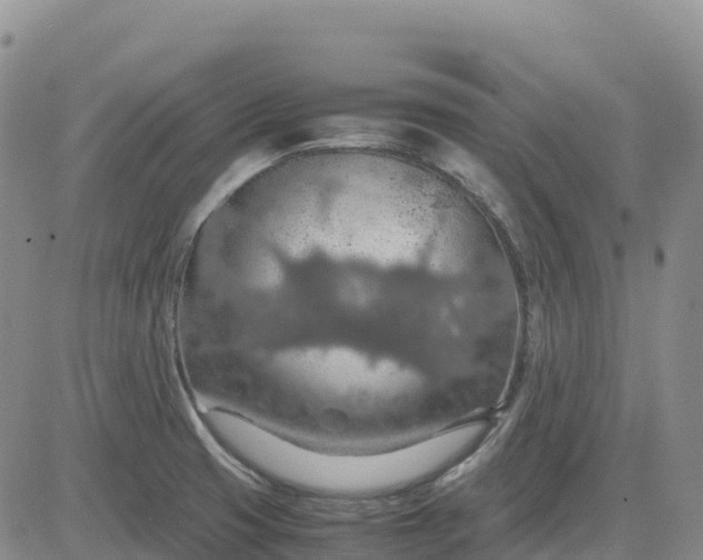 X0000083581425200702231644