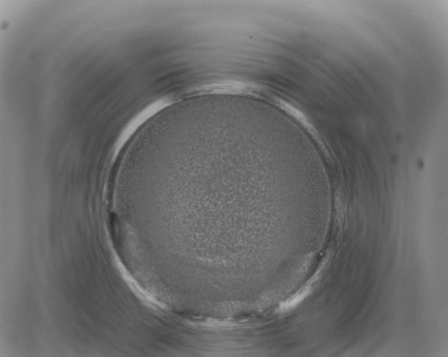 X0000083581426200702231644