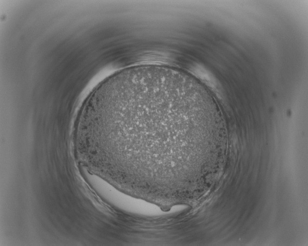 X0000083581427200702231644