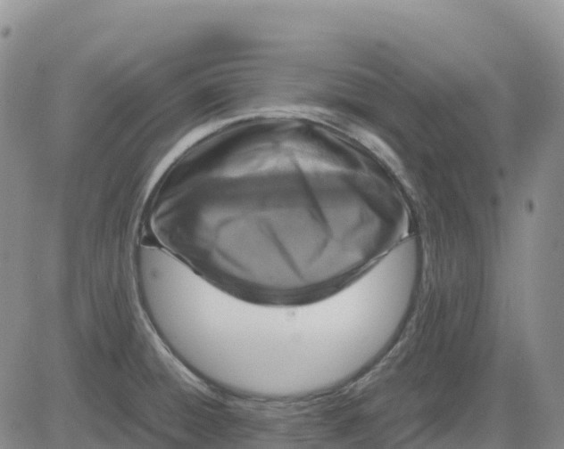 X0000083581428200702231644