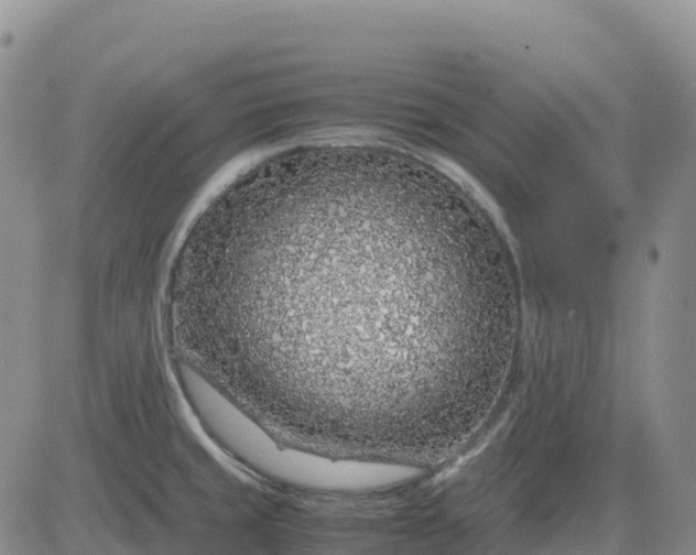 X0000083581429200702231644