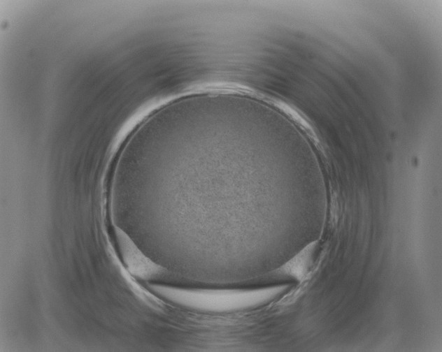 X0000083581430200702231644