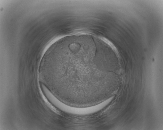 X0000083581431200702231644