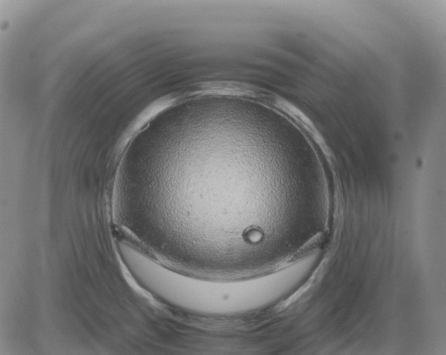 X0000083581433200702231644