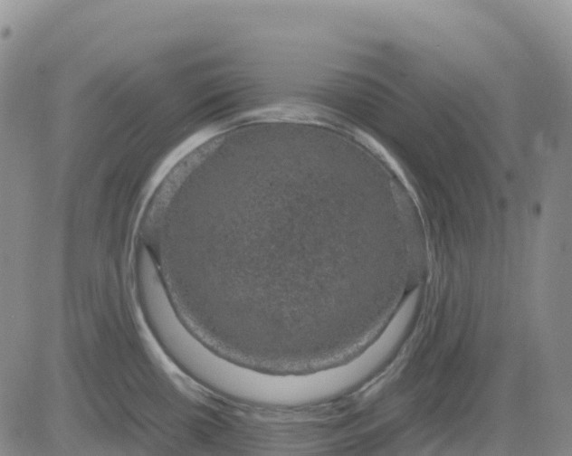 X0000083581434200702231644