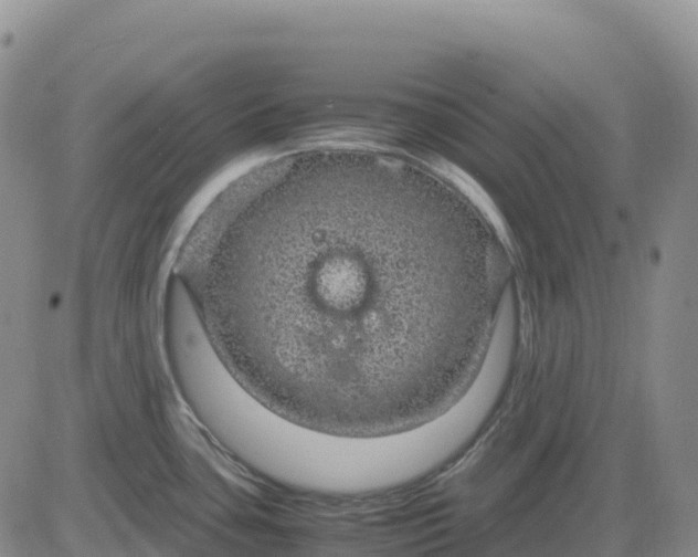 X0000083581435200702231644