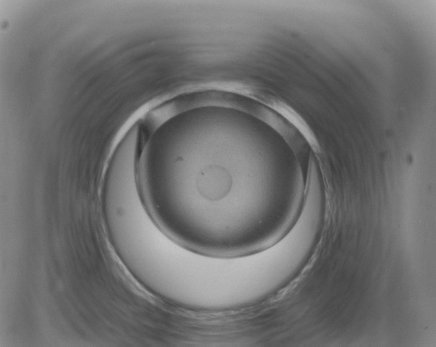 X0000083581436200702231644