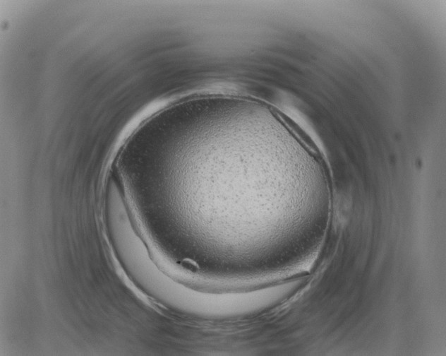 X0000083581437200702231644