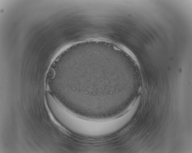 X0000083581439200702231644