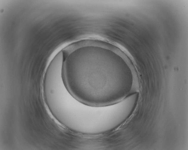 X0000083581440200702231644