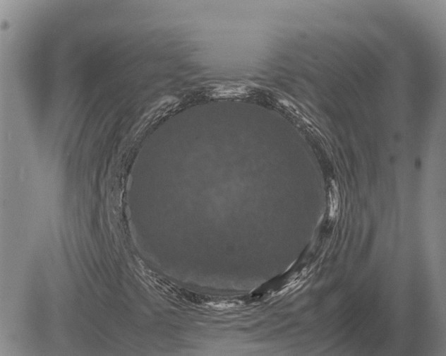 X0000083581441200702231643