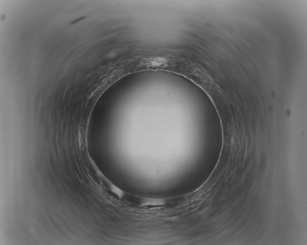 X0000083581442200702231643