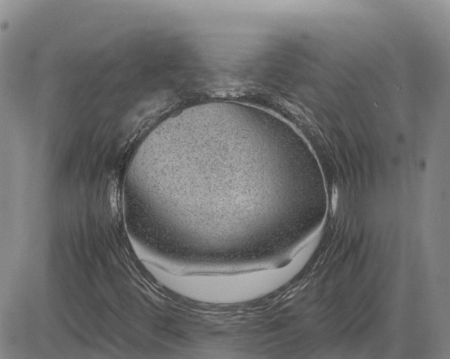 X0000083581444200702231643